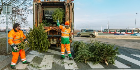 Kam odnést stromečky po svátcích? Ideálně k barevným nádobám na tříděný odpad!