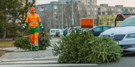 Stromečky noste po svátcích k venkovním popelnicím, prosí občany Pražské služby